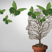 Logoterapia – R2 Psicologia Logoterapia - R2 Psicologia